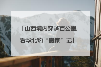 山西境内穿越百公里 看华北豹“搬家”记