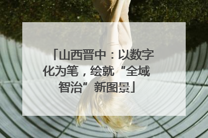 山西晋中：以数字化为笔，绘就“全域智治”新图景