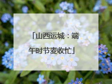 山西运城：端午时节麦收忙