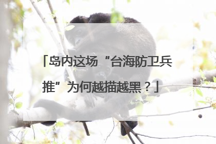 岛内这场“台海防卫兵推”为何越描越黑？