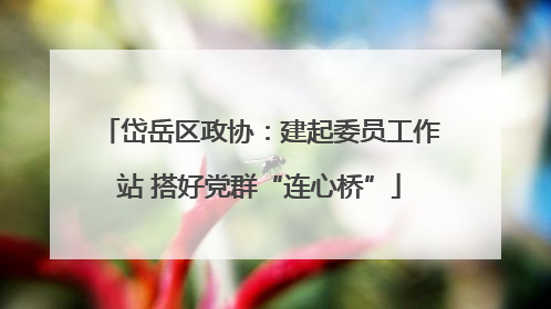 岱岳区政协：建起委员工作站 搭好党群“连心桥”