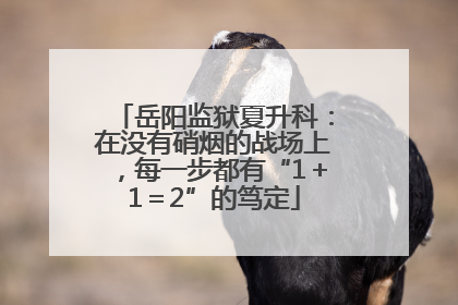 岳阳监狱夏升科：在没有硝烟的战场上，每一步都有“1＋1＝2”的笃定