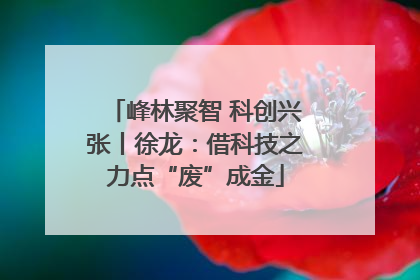 峰林聚智 科创兴张丨徐龙：借科技之力点“废”成金