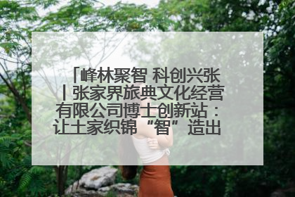 峰林聚智 科创兴张丨张家界旅典文化经营有限公司博士创新站：让土家织锦“智”造出非遗新传奇