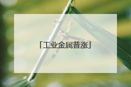 工业金属普涨