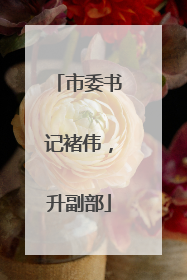 市委书记褚伟，升副部