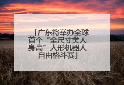 广东将举办全球首个“全尺寸类人身高”人形机器人自由格斗赛