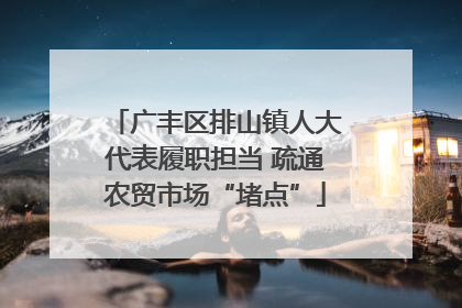 广丰区排山镇人大代表履职担当 疏通农贸市场“堵点”