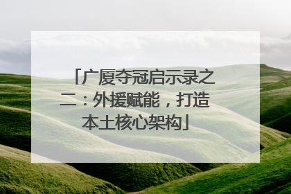 广厦夺冠启示录之二：外援赋能，打造本土核心架构