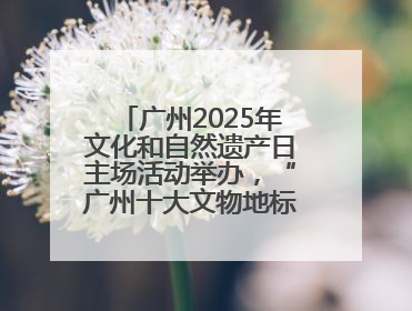 广州2025年文化和自然遗产日主场活动举办,“广州十大文物地标”公布