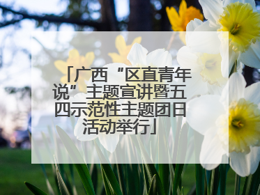 广西“区直青年说”主题宣讲暨五四示范性主题团日活动举行