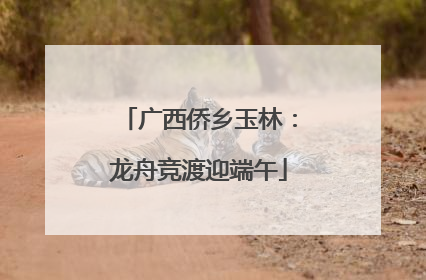 广西侨乡玉林：龙舟竞渡迎端午