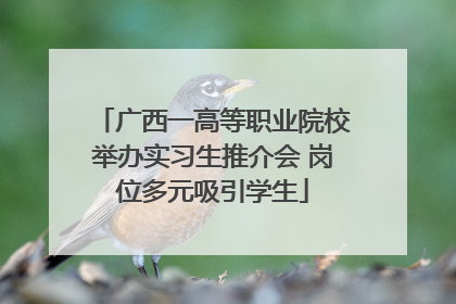 广西一高等职业院校举办实习生推介会 岗位多元吸引学生