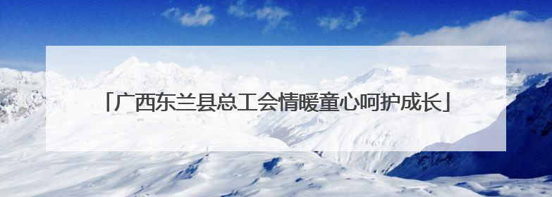 广西东兰县总工会情暖童心呵护成长