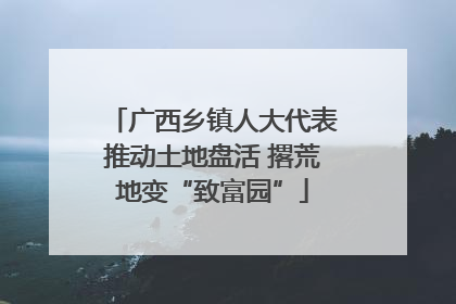 广西乡镇人大代表推动土地盘活 撂荒地变“致富园”