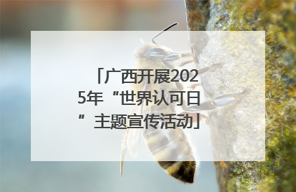 广西开展2025年“世界认可日”主题宣传活动