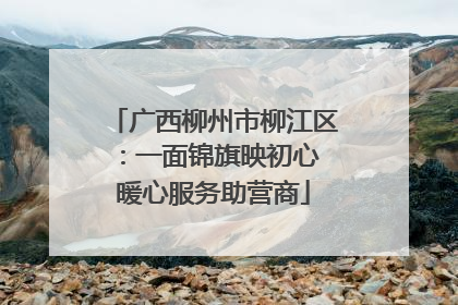 广西柳州市柳江区：一面锦旗映初心 暖心服务助营商