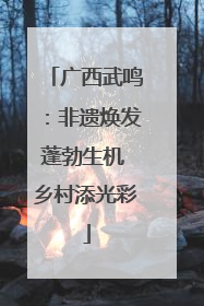 广西武鸣：非遗焕发蓬勃生机 乡村添光彩