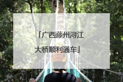广西藤州浔江大桥顺利通车