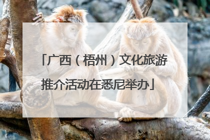 广西（梧州）文化旅游推介活动在悉尼举办