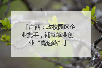 广西：政校园区企业携手，铺就就业创业“高速路”