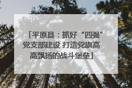 平原县：抓好“四强”党支部建设 打造党旗高高飘扬的战斗堡垒