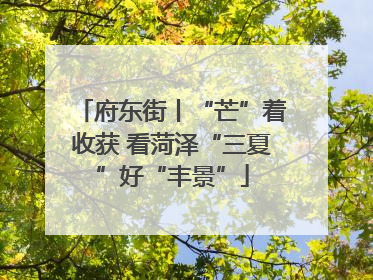 府东街丨“芒”着收获 看菏泽“三夏”好“丰景”