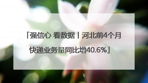 强信心 看数据丨河北前4个月快递业务量同比增40.6%