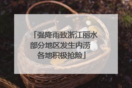 强降雨致浙江丽水部分地区发生内涝 各地积极抢险