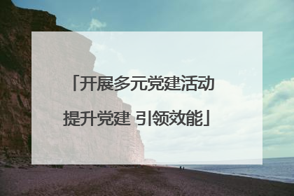开展多元党建活动 提升党建 引领效能