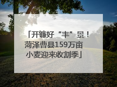 开镰好“丰”景！菏泽曹县159万亩小麦迎来收割季