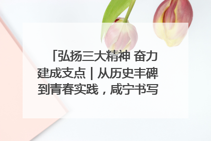 弘扬三大精神 奋力建成支点｜从历史丰碑到青春实践，咸宁书写精神传承新篇章