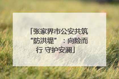 张家界市公安共筑“防洪堤”：向险而行 守护安澜