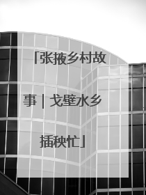 张掖乡村故事｜戈壁水乡插秧忙