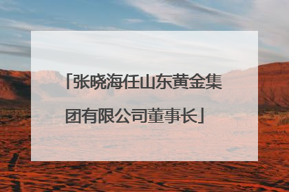张晓海任山东黄金集团有限公司董事长