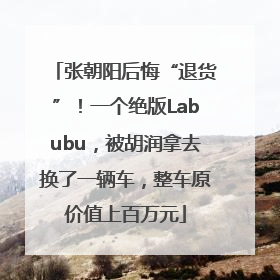张朝阳后悔“退货”！一个绝版Labubu，被胡润拿去换了一辆车，整车原价值上百万元