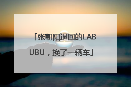 张朝阳退回的LABUBU，换了一辆车