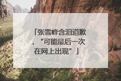 张雪峰含泪道歉，“可能最后一次在网上出现”