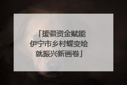 援疆资金赋能 伊宁市乡村蝶变绘就振兴新画卷