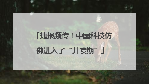 捷报频传！中国科技仿佛进入了“井喷期”