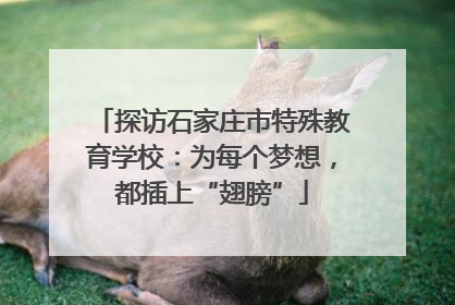 探访石家庄市特殊教育学校：为每个梦想，都插上“翅膀”