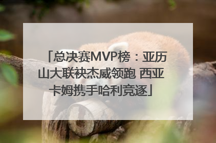 总决赛MVP榜：亚历山大联袂杰威领跑 西亚卡姆携手哈利竞逐