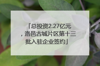 总投资2.27亿元，洛邑古城片区第十三批入驻企业签约