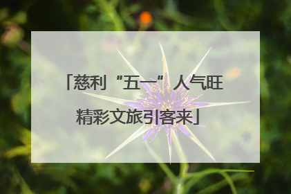 慈利“五一”人气旺 精彩文旅引客来