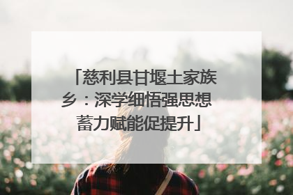 慈利县甘堰土家族乡：深学细悟强思想 蓄力赋能促提升