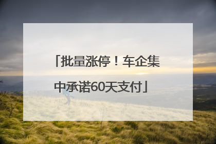 批量涨停！车企集中承诺60天支付