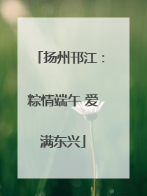 扬州邗江：粽情端午 爱满东兴