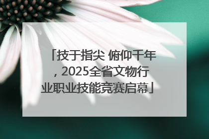 技于指尖 俯仰千年，2025全省文物行业职业技能竞赛启幕