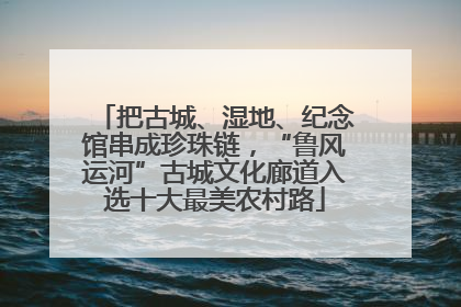 把古城、湿地、纪念馆串成珍珠链，“鲁风运河”古城文化廊道入选十大最美农村路