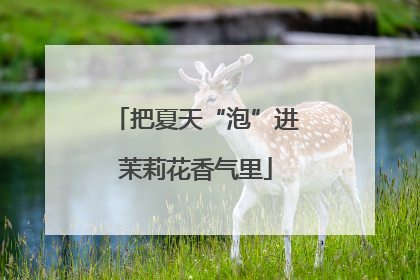 把夏天“泡”进茉莉花香气里